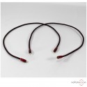 Audioquest Red River interconnect cable