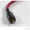 Câble coaxial Wireworld Starlight 7 Câble coaxial Wireworld Starlight 7