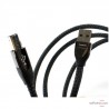 Câble numérique USB Audioquest Carbon