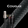 Audioquest Cougar tonearm cable