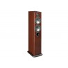 Enceintes colonnes Monitor Audio Bronze 5