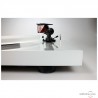 Pro-Ject Debut Carbon Esprit DC turntable Pro-Ject Debut Carbon Esprit DC turntable