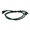 Audioquest Evergreen interconnect cable Audioquest Evergreen interconnect cable