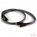 Wireworld Equinox 10 RCA interconnect cable