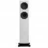 Enceintes colonnes Fyne Audio F501