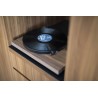 Platine vinyle Pro-Ject Debut Carbon EVO
