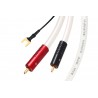 Câble phono Atlas Equator TT Achromatic