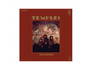 Disque vinyle Temples - Hot Motion Disque vinyle Temples - Hot Motion