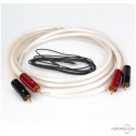 Câble phono Atlas Equator TT Achromatic X