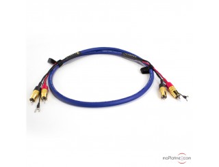 Câble phono Cardas Clear Cygnus Phono