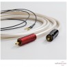 Câble phono Atlas Equator TT Achromatic