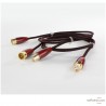 Câble de modulation Audioquest Red River