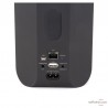 Enceinte Bluesound PULSE FLEX 2i Enceinte Bluesound PULSE FLEX 2i