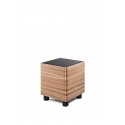 Sonus Faber Gravis I subwoofer
