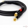 Câble de modulation REGA Couple 2