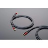 Câble haut-parleurs Transparent Hardwired