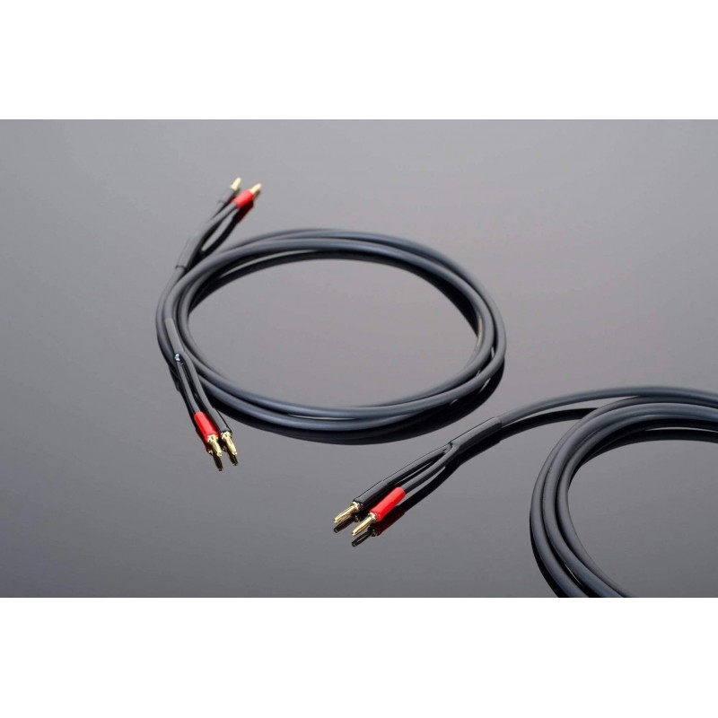 Câble Haut-parleur Transparent 2 X 1,5 Mm² – 100 M De Longueur, Conducteur CCA, Isolation PVC – Pour Installations Audio Maison Ou Professionnelles