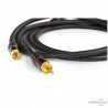 Câble de modulation Transparent Hardwired RCA