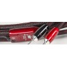 Audioquest William Tell Zero speackers cables