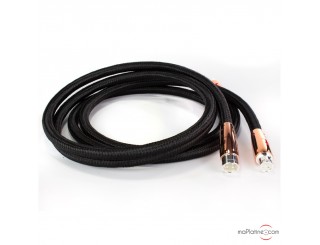 Câble de modulation XLR Audioquest Black Beauty
