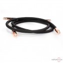 Audioquest Black Beauty RCA interconnect cable