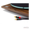 Platine vinyle Rega Planar 3 50th Anniversary
