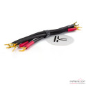 Transparent High Performance jumper speaker cable (x4) 