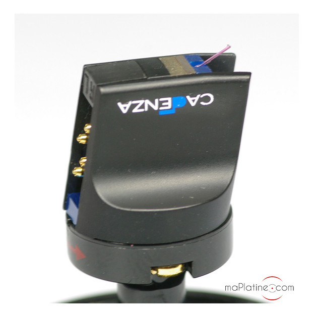 Cellule MC Ortofon Cadenza Blue - Déstockage Cellule MC Ortofon Cadenza Blue - Déstockage