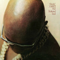 Isaac Hayes - Hot Buttered Soul vinyl record