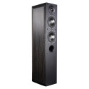 Indiana Line Nota 550X tower speakers