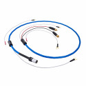 Nordost Blue Heaven + phono cable