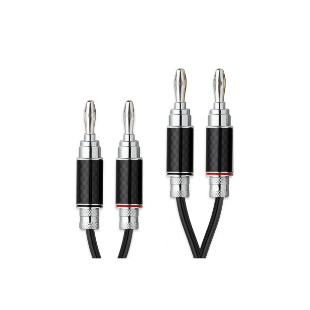 Câbles haut-parleur PRO-JECT Connect IT LS RS Câbles haut-parleur PRO-JECT Connect IT LS RS