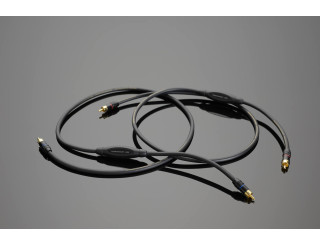 Câble de modulation Transparent The Link