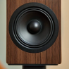 TESI 2 bookshelf speakers