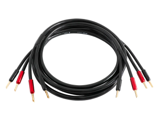 HP Atlas Equator Achromatic Z 5.0 cable HP Atlas Equator Achromatic Z 5.0 cable