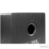 TESI 2 bookshelf speakers
