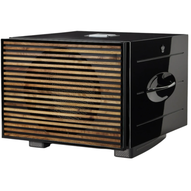 REL Carbon Special Black Label Subwoofer