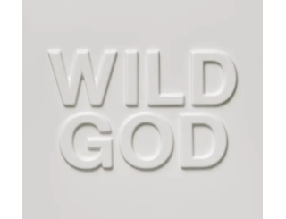 Disque vinyle Nick Cave & the Bad Seeds - Push The Sky Away