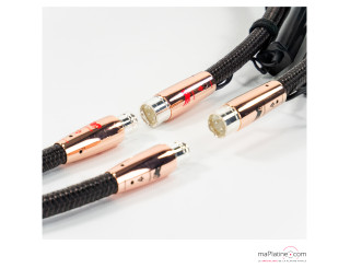Audioquest Pegasus XLR modulation cable