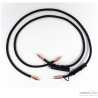 Audioquest Pegasus XLR modulation cable