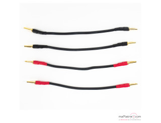 Jumper haut-parleurs phono Transparent Basic Biwire (x4)