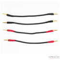 Transparent Basic Biwire jumper speaker cable (x4)