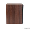 Dynaudio Emit 20 Bookshelf Speakers