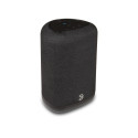 Bluesound PULSE FLEX Speaker