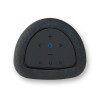 Enceinte Bluesound PULSE FLEX
