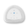 Enceinte Bluesound PULSE FLEX