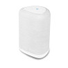 Enceinte Bluesound PULSE FLEX