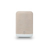 Enceinte Bluesound PULSE FLEX