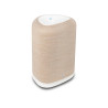 Enceinte Bluesound PULSE FLEX
