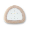 Enceinte Bluesound PULSE FLEX